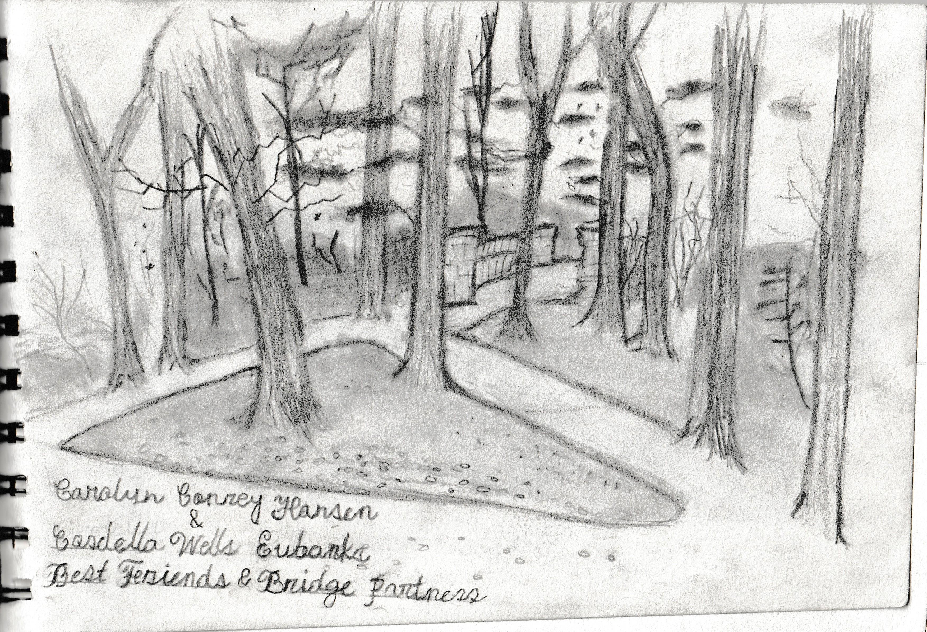 A detailed sketch shows a tranquil path winding through tall trees, enhancing a sense of peace.