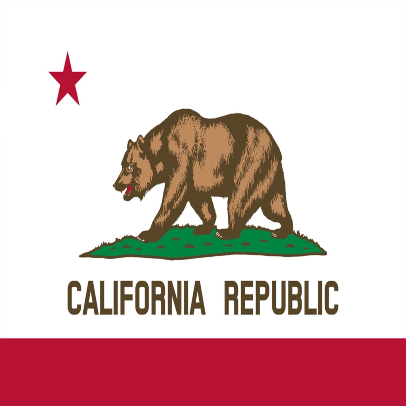 The California flag displays a bear walking on grass beneath a star, showcasing state pride.