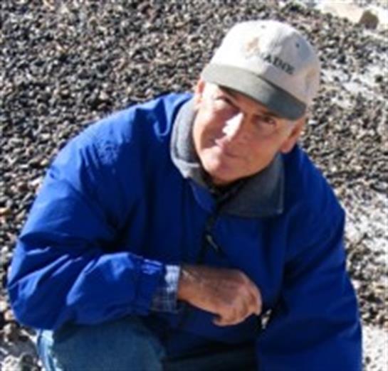 A man kneels down, inspecting gravel closely while surrounded by a rocky area under bright sunlight.
