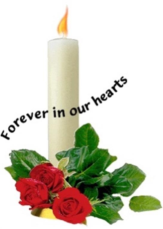 A lit candle stands beside vibrant red roses, symbolizing eternal remembrance and love.