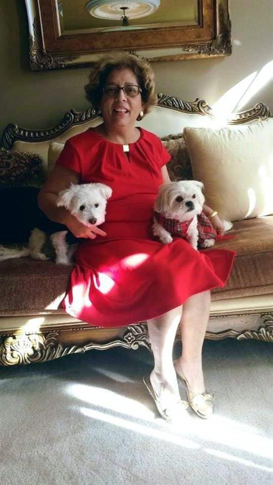 A woman relaxes on a stylish sofa with her two adorable dogs beside her.