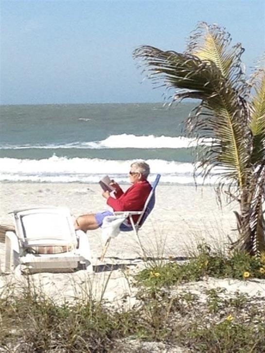A person enjoys a book while sitting on a beach chair, surrounded by waves and palm trees.