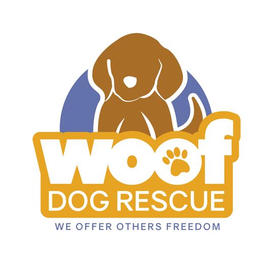 Volunteers gather at a community event to raise awareness for dog rescue and adoption.