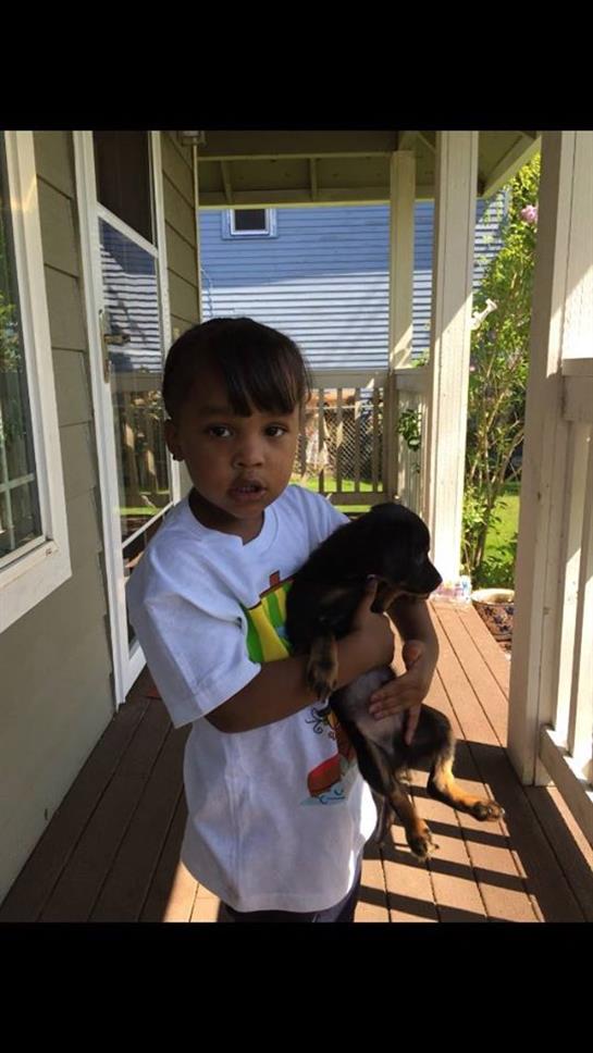 A young boy stands on a porch, gently holding a small dog while enjoying the sunny afternoon.