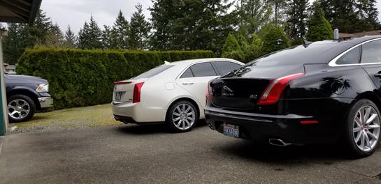 Two high-end vehicles are parked in a serene residential area with dense foliage.