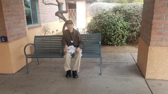 An elderly individual relaxes on a bench in a serene park with lush greenery all around.