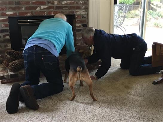 Two individuals crouch down in a warm living room, helping a small dog near the fireplace.