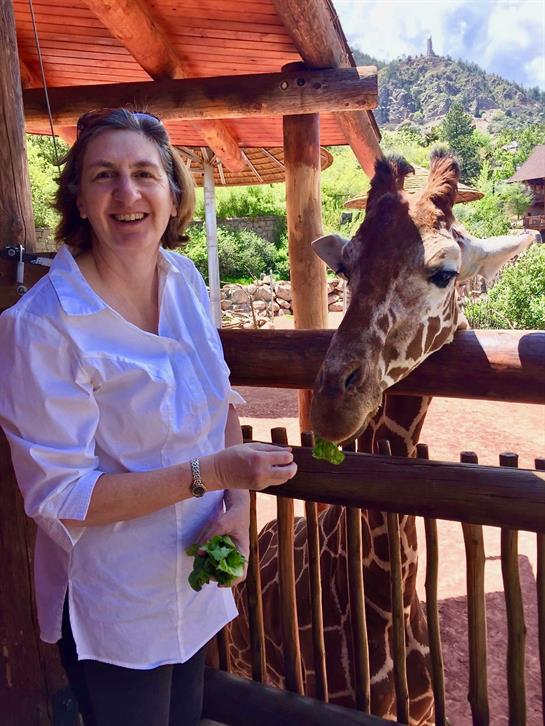 A woman smiles while offering food to a friendly giraffe in a vibrant zoo environment.