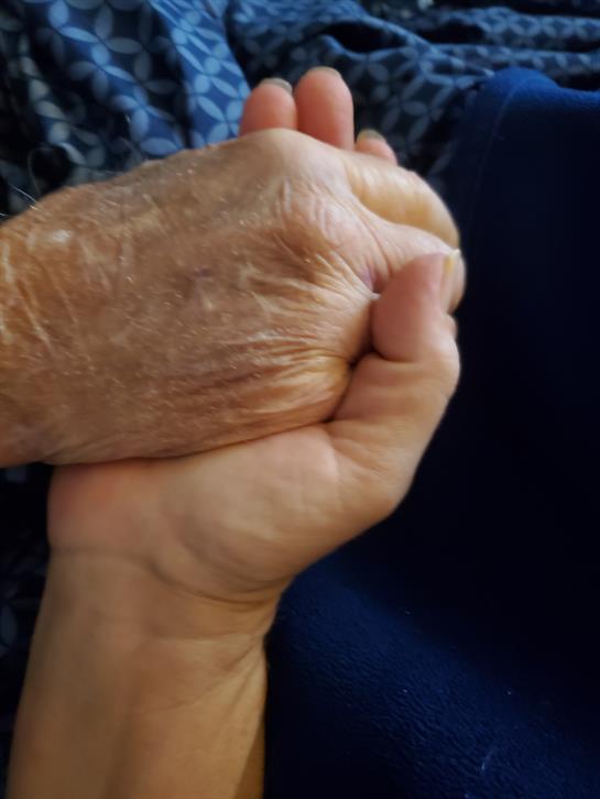 Two hands clasped in a warm embrace, showcasing generational love and support between individuals.