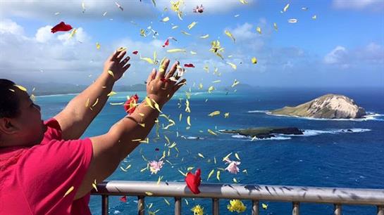 Flower petals are thrown in the air as a person enjoys the beautiful coastal view.