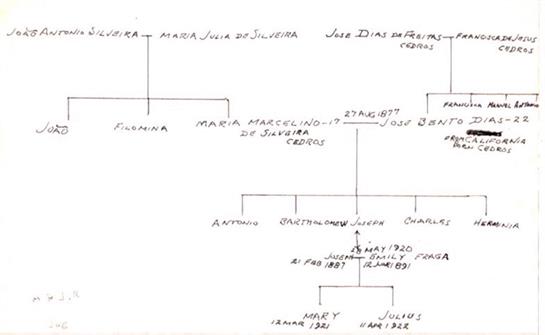 Detailed family tree outlining the connections between Silva and Dias relatives, created in 1987.