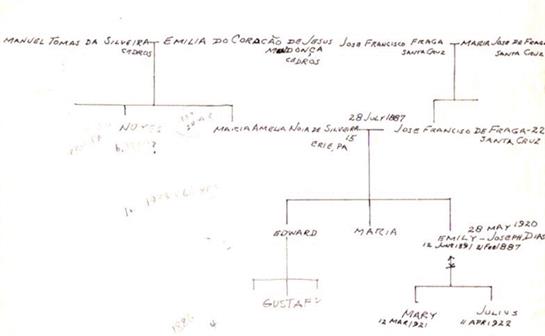 Detailed family tree outlining connections of family members from 1900s centering on key ancestors.