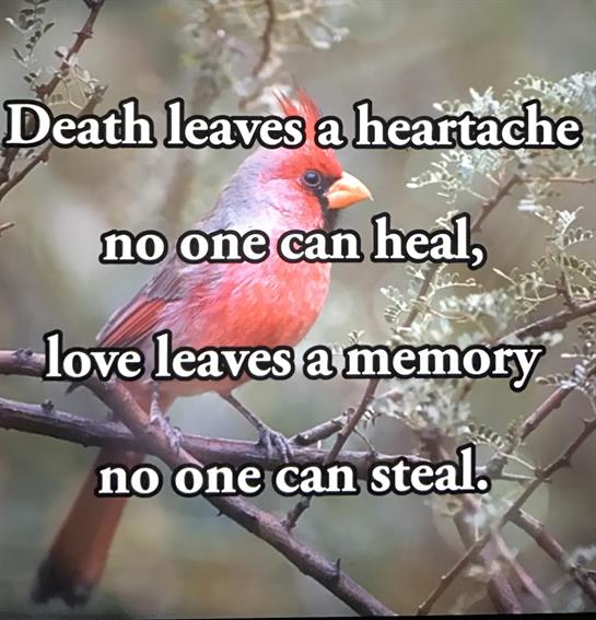 A bright cardinal rests on a branch, surrounded by blossoms, conveying a deep message.