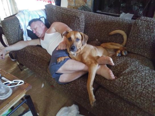 A man naps peacefully on the couch with a dog nestled beside him, creating a cozy scene.