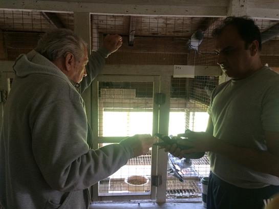 Two individuals are engaged in tasks related to the care of birds in an aviary.