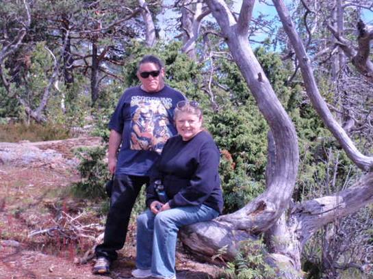 Two people relax outdoors, posing beside a unique tree in a forested area under clear skies.
