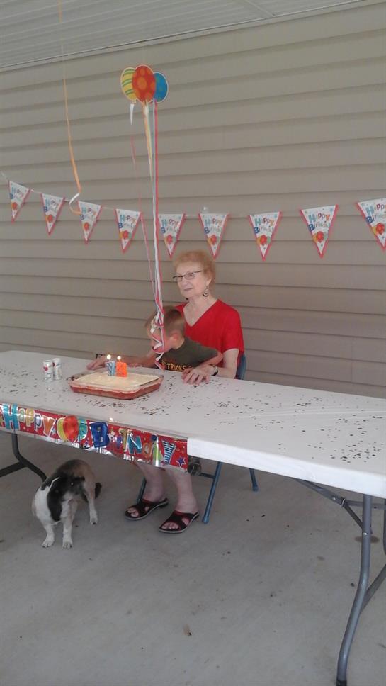 A joyful gathering features a cake and festive decorations while a dog explores nearby.