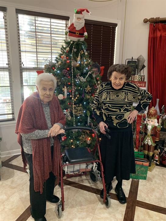 Two senior women stand by a festive Christmas tree, sharing a joyful moment in the living room.