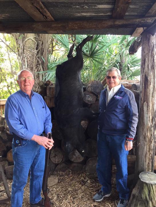 Two men stand proudly by a large hanging boar in a rustic outdoor setting.