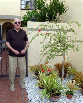 An elderly man in sunglasses poses next to a vibrant garden filled with tropical greenery.