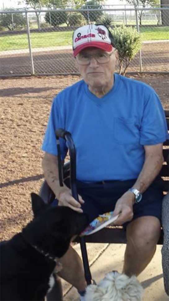 Man sitting on a bench shares food with his dog in a sunny park setting.