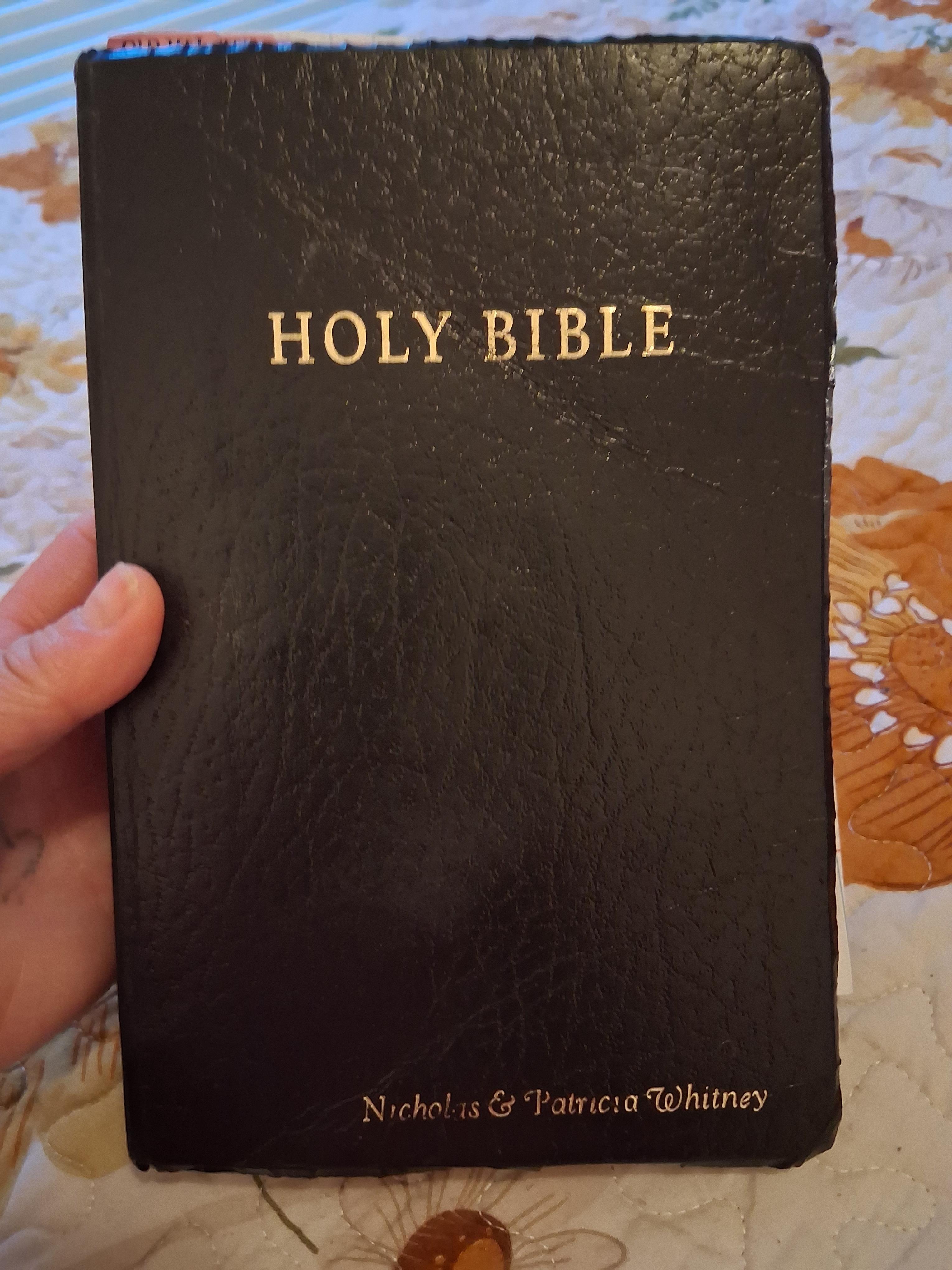 A hand holding a black book