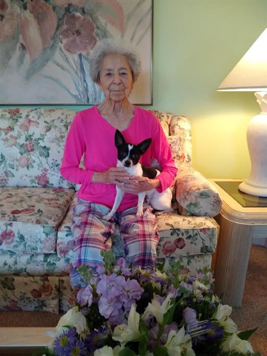 An older woman in a pink outfit sits comfortably on a floral couch with a small dog in her lap.