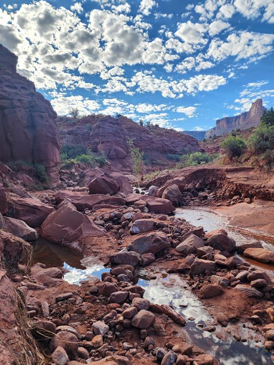A stunning canyon landscape features a gentle stream surrounded by reddish rocks and bright clouds.
