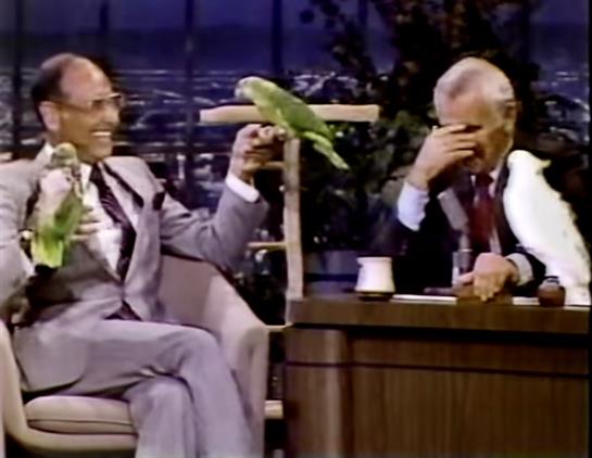Guests interact with a parrot while sharing humorous stories in a lively talk show atmosphere.