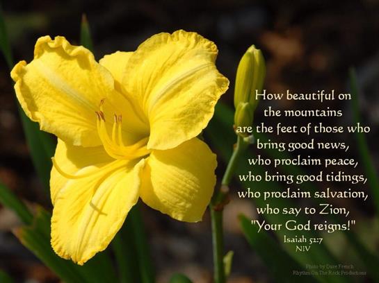 A vibrant yellow flower stands tall in a garden while a scripture verse is displayed nearby.