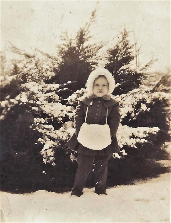 Young child dressed warmly poses in snowy landscape with evergreen trees in winter.
