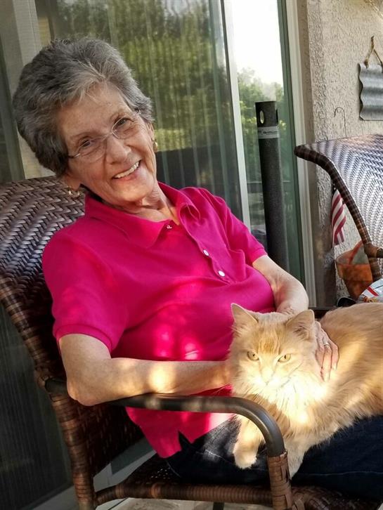 A woman enjoys her time on a porch while holding an orange cat on her lap as sunlight filters in.