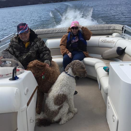 Two people sit on a boat with two dogs as they travel on a lake on a clear day.