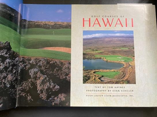 Vibrant greenery and calm water highlight Hawaii's natural beauty on a sunny day.