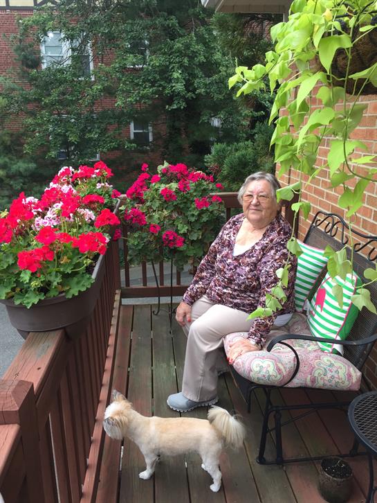 An elderly woman relaxes on a balcony filled with vibrant flowers and her small dog nearby.