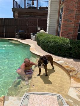 A man and his dog play together near the pool, enjoying the warm weather and each other's company.