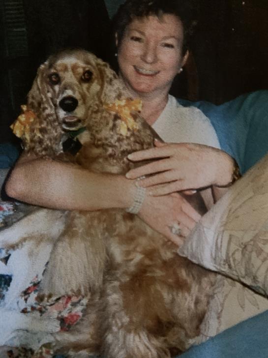A woman is embracing her joyful golden cocker spaniel while sitting comfortably on a couch.