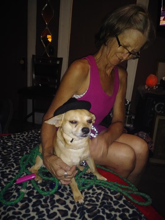 A woman gently holds a small Chihuahua dressed in a stylish hat while sitting on a vibrant blanket.