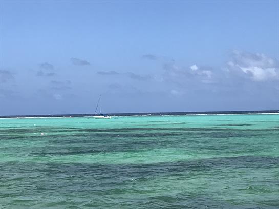 Vibrant turquoise waters shimmer under bright sunlight, inviting calm and relaxation.