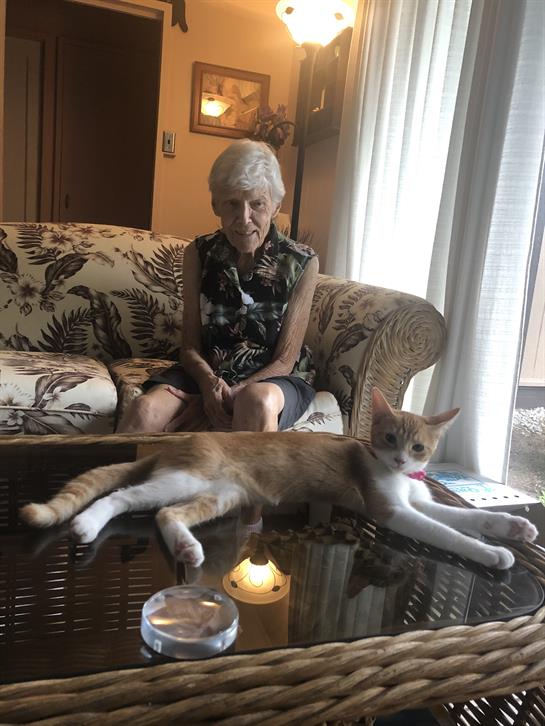 An elderly woman relaxes on a couch while a cat lounges nearby, enjoying a peaceful afternoon.