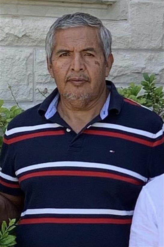 Older man stands confidently outdoors, with casual attire and vibrant stripes, amidst green plants.