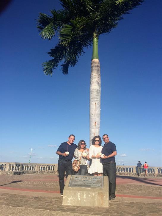 Four friends gather under a tall palm tree at the waterfront, smiling in the bright sunlight.