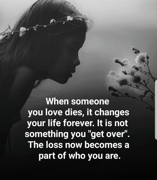 A silhouette of a girl gently touching flowers, contemplating the impact of love and loss.