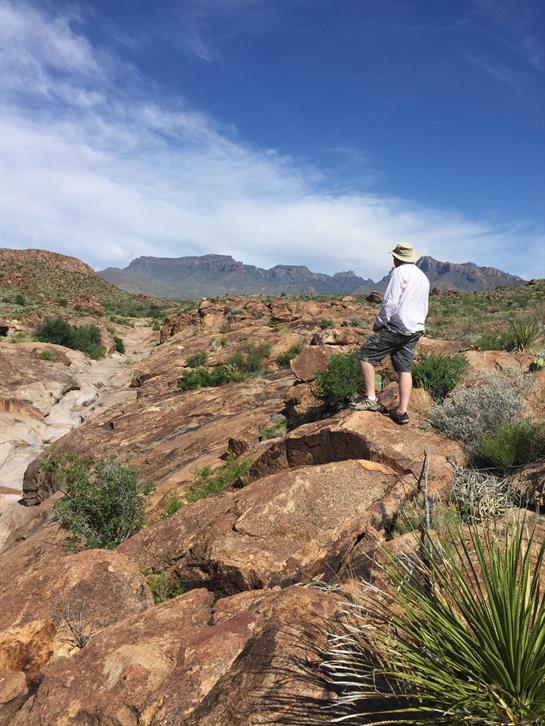 A person enjoys a trek over rocky landscapes, surrounded by greenery and mountains under blue skies.
