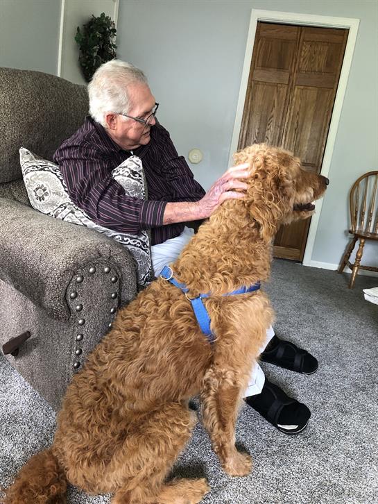 An elderly man pets his golden retriever on a couch in a cozy living room.