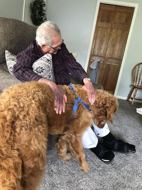 An elderly man gently pets a golden retriever while sitting on a comfortable sofa indoors.
