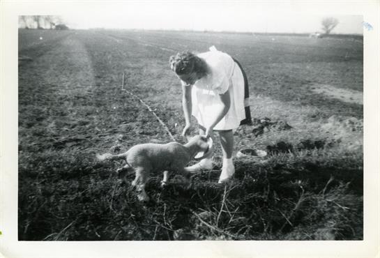 A girl in a white dress enjoys playful moments with a puppy in a sunlit field.
