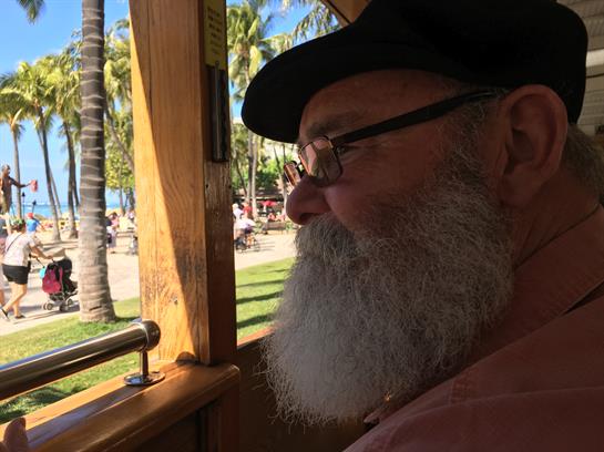 A man with a long beard gazes out a wooden window, enjoying a sunny day near palm trees.