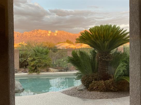 Relaxing by the pool, surrounded by palm trees and picturesque desert mountains at sunset.