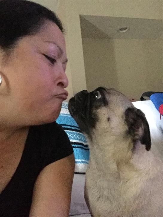 A woman shares a lighthearted moment with her pug dog in a comfortable living room.
